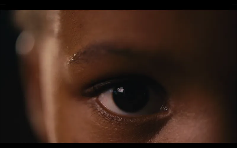 Purpose Still