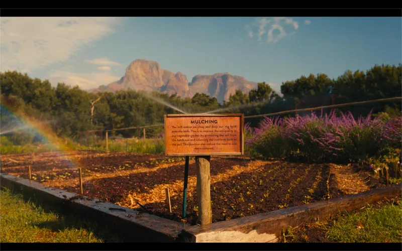 Purpose Still